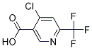 4-Chloro-6-trifluoroMethyl-nicotinic acid CAS#: 1060810-66-3