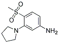 4-Methylsulfonyl-3-(pyrrolidin-1-yl)aniline CAS#: 1000018-40-5