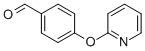 4-(PYRID-2-YLOXY)BENZALDEHYDE CAS#: 194017-69-1