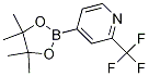 4-(tetraMethyl-1,3,2-dioxaborolan-2-yl)-2-(trifluoroMethyl)pyridine CAS#: 1036990-42-7