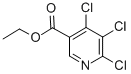 4,5,6-TRICHLORONICOTINIC ACID ETHYL ESTER CAS#: 181261-73-4