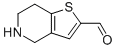 4,5,6,7-TETRAHYDROTHIENO[3,2-C]PYRIDINE-2-CARBALDEHYDE CAS#: 197237-97-1