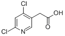4,6-DICHLOROPYRIDINE-3-ACETIC ACID CAS#: 199283-51-7