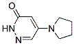 5-(1-PYRROLIDINYL)-3(2H)-PYRIDAZINONE CAS#: 1015846-81-7