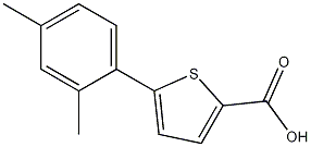 5-(2,4-dimethylphenyl)thiophene-2-carboxylic acid CAS#: 1038729-21-3