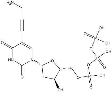 5-(3-AMino-1-propyn-1-yl)-2'-deoxyuridine 5'-(Tetrahydrogen Triphosphate) CAS#: 179101-49-6