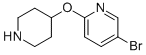 5-Bromo-2-(piperidin-4-yloxy)pyridine CAS#: 194668-50-3