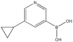 5-CYCLOPROPYLPYRIDIN-3-YLBORONIC ACID CAS#: 1044210-58-3