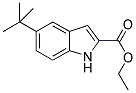 5-TERT-BUTYL-1H-INDOLE-2-CARBOXYLIC ACID ETHYL ESTER CAS#: 194490-18-1