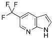 5-TRIFLUOROMETHYL-1H-PYRROLO[2,3-B]PYRIDINE CAS#: 1036027-54-9