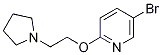5-bromopyrid-2-yl 2-(1-pyrrolidinyl)ethyl ether CAS#: 180916-06-7