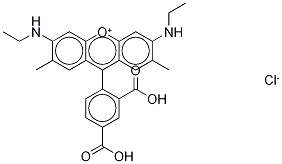 5-carboxyrhodamine-6G CAS#: 180144-69-8