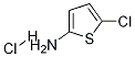 5-chlorothiophen-2-aMine hydrochloride CAS#: 1070886-43-9