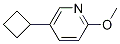 5-cyclobutyl-2-Methoxypyridine CAS#: 1063961-23-8