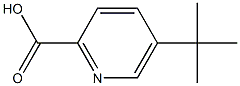 5-terbutylpieolinic acid CAS#: 1005785-85-2