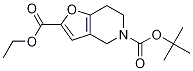 5-tert-butyl 2-ethyl 6,7-dihydrofuro[3,2-c]pyridine-2,5(4H)-dicarboxylate CAS#: 1060814-36-9