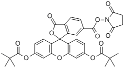 5,6-CARBOXYFLUORESCEIN DIPIVALATE SUCCINIMIDE ESTER CAS#: 197850-75-2