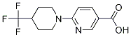 6-[4-(trifluoromethyl)piperidino]nicotinic acid CAS#: 1033463-36-3