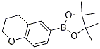 6-(4,4,5,5-Tetramethyl-1,3,2-dioxaborolan-2-yl)chroman, 97% CAS#: 1002727-88-9