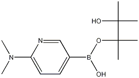 6-Dimethylaminopyridine-3-boronic acid pinacol ester CAS#: 1036991-24-8