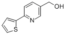 (6-THIEN-2-YLPYRID-3-YL)METHANOL CAS#: 198078-57-8