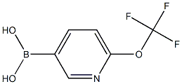 6-TRIFLUOROMETHOXYPYRIDINE-3-BORONIC ACID CAS#: 1008140-70-2