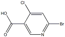 6-broMo-4-chloronicotinic acid CAS#: 1060808-92-5