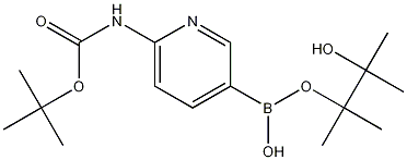 6-(tert-Butyloxycarbonylamino) pyridine-3-boronic acid pinacol ester CAS#: 1032758-86-3