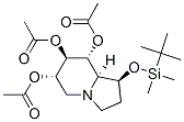 6,7,8-Indolizinetriol, 1-(1,1-dimethylethyl)dimethylsilyloxyoctahydro-, triacetate (ester), 1S-(1.alpha.,6.beta.,7.alpha.,8.beta.,8a.beta.)- CAS#: 185899-45-0