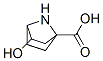 7-Azabicyclo[2.2.1]heptane-1-carboxylicacid,3-hydroxy-,exo-(9CI) CAS#: 186958-03-2