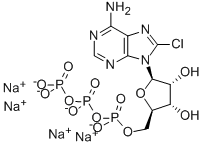 8-CHLOROADENOSINE-5'-O-TRIPHOSPHATE SODIUM SALT CAS#: 185341-71-3