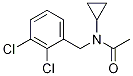 AcetaMide, N-cyclopropyl-N-[(2,3-dichlorophenyl)Methyl]- CAS#: 1041439-18-2
