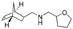 BICYCLO[2.2.1]HEPT-5-EN-2-YLMETHYL-(TETRAHYDRO-FURAN-2-YLMETHYL)-AMINE CAS#: 1005263-32-0