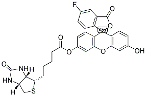 BIOTIN-4-FLUORESCEIN CAS#: 1032732-74-3