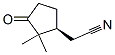 Cyclopentaneacetonitrile, 2,2-dimethyl-3-oxo-, (S)- (9CI) CAS#: 182863-77-0