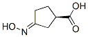 Cyclopentanecarboxylic acid, 3-(hydroxyimino)-, [R-(E)]- (9CI) CAS#: 180323-33-5