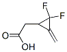 Cyclopropaneacetic acid, 2,2-difluoro-3-methylene- (9CI) CAS#: 199176-95-9
