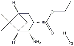Ethyl (1R,2R,3S,5R)-2-amino-6,6-dimethylbicyclo[3.1.1]heptan-3-carboxylate hydrochloride CAS#: 1027343-58-3