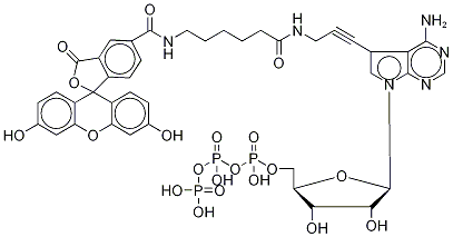 Fluorescein Alkynylamino-ATP CAS#: 185971-89-5