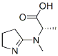 L-Alanine, N-(3,4-dihydro-2H-pyrrol-5-yl)-N-methyl- (9CI) CAS#: 198198-32-2