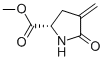 L-Proline, 4-methylene-5-oxo-, methyl ester (9CI) CAS#: 182073-75-2
