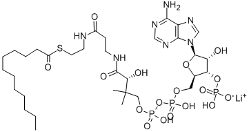 LAUROYL COENZYME A C12:0 LITHIUM SALT CAS#: 190063-12-8