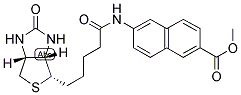 METHYL N-BIOTINYL-6-AMINO-2-NAPHTHONATE CAS#: 1041143-49-0