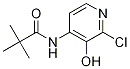 N-(2-CHLORO-3-HYDROXYPYRIDIN-4-YL)PIVALAMIDE CAS#: 1021339-26-3