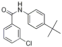 N-(4-tert-Butylphenyl)-3-chlorobenzaMide, 97% CAS#: 1004646-47-2