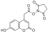 N-SUCCINIMIDYL 7-HYDROXY-4-COUMARINYL-AC CAS#: 185102-64-1