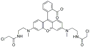 N,N'-BIS[2-(CHLOROACETAMIDO)ETHYL]-N,N'-DIMETHYLRHODAMINE CAS#: 1022050-89-0