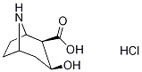 Norecgonine Hydrochloride CAS#: 192697-90-8