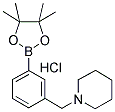 PIPERIDINOMETHYL-3-PHENYLBORONIC ACID PINACOL ESTER HYDROCHLORIDE CAS#: 1021186-08-2