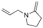 Pyrrolidine, 2-methylene-1-(2-propenyl)- (9CI) CAS#: 184288-52-6